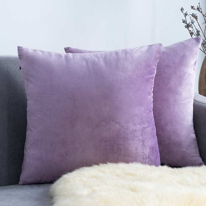 Ultra-Soft Velvet Square Decorative Pillow Cover with Minky Back and Invisible Zipper