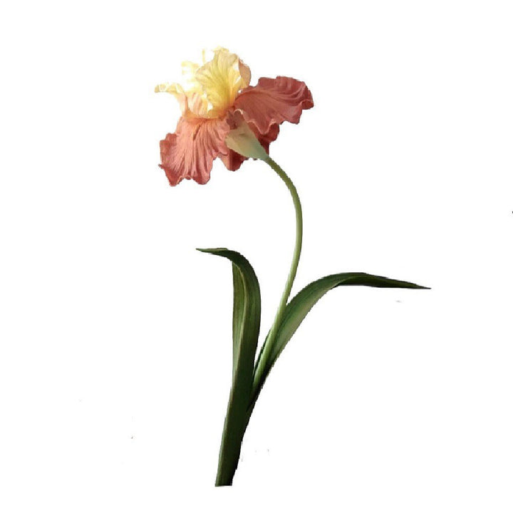 Decorative Iris Flower Stem