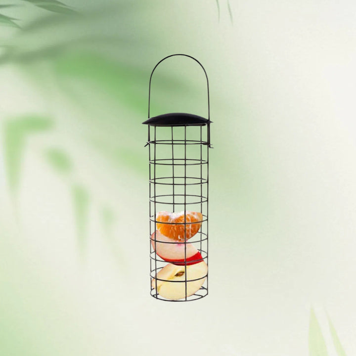 Transparent Bird Feeder Kalsten