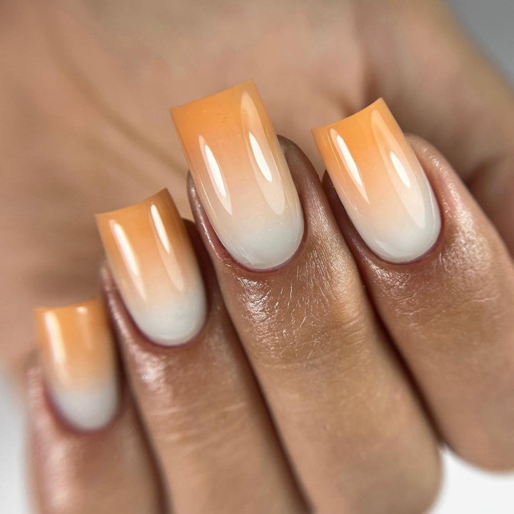 Artificial nails in elegant gradient Kalsten