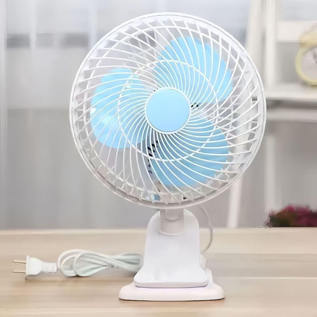 Fan Kalsten