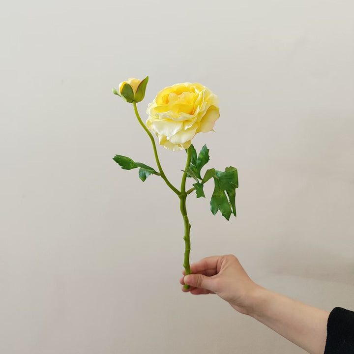 Premium Realistic Garden Rose Stem