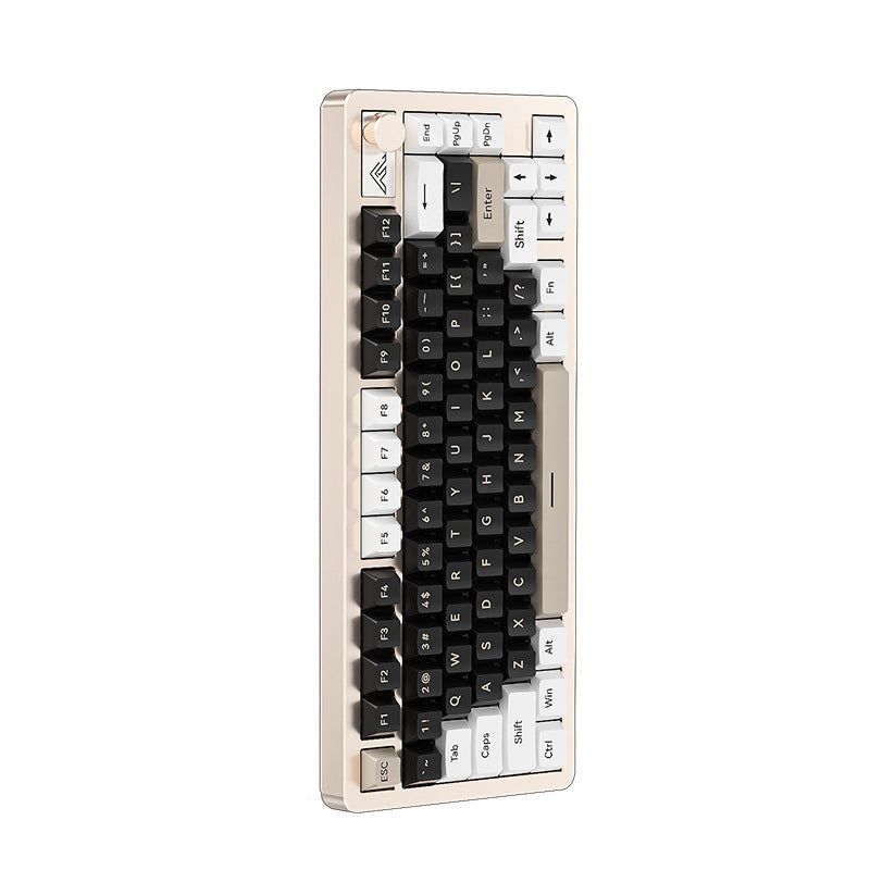 Compact Ergonomic Mechanical Keyboard Kalsten