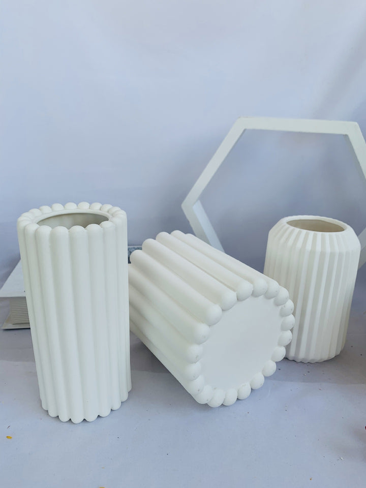 Decorative Plant Kalsten