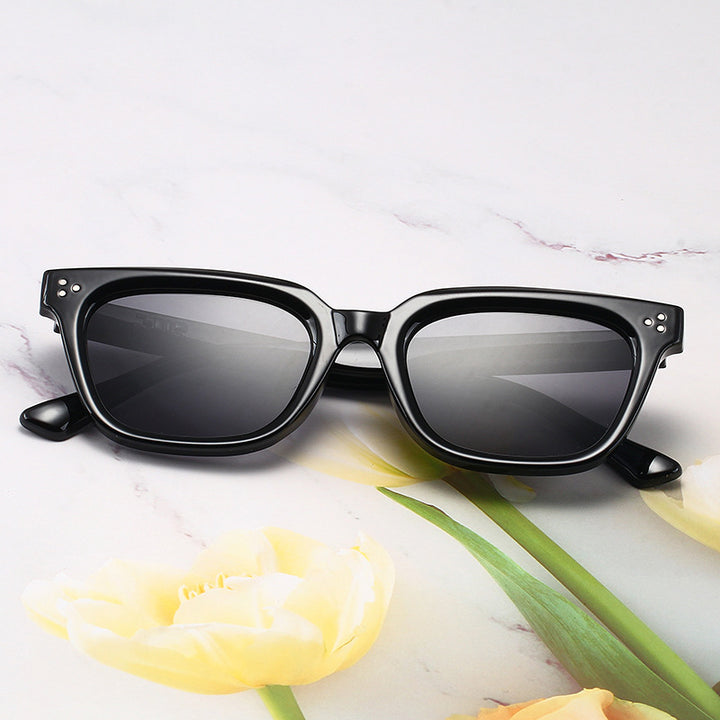 Fashionable Acrylic Sunglasses in Modern Design Kalsten