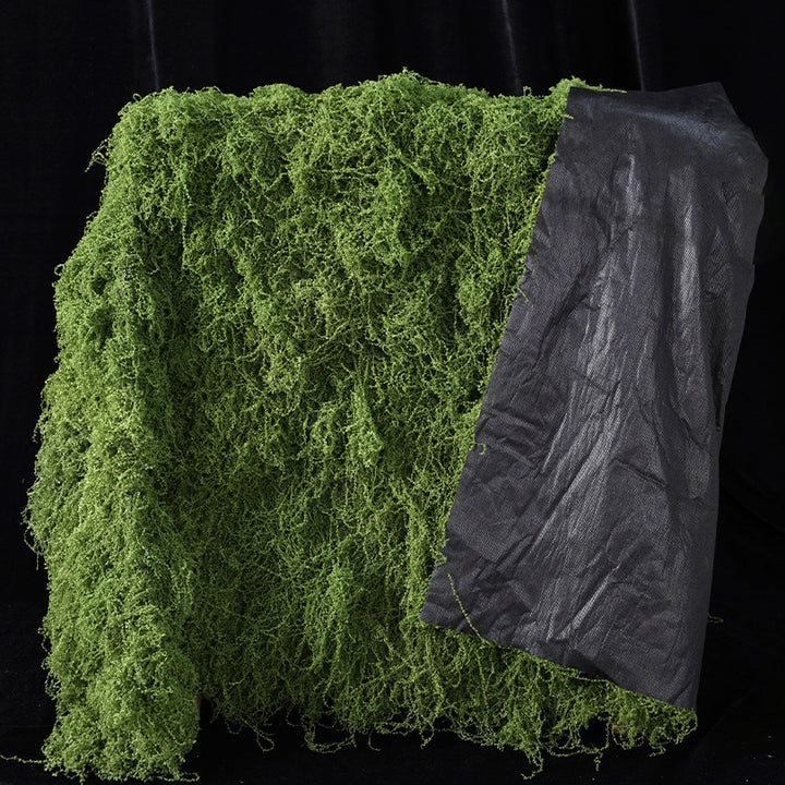 Decorative Moss and Mushroom Arrangement