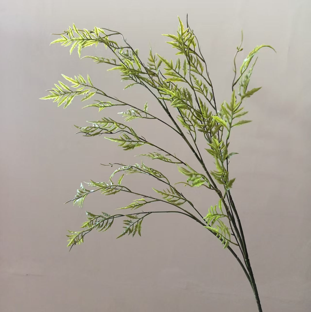 Decorative Fern Stem