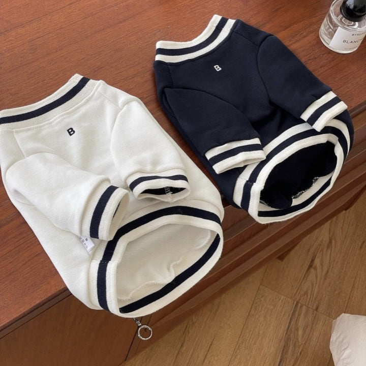 Pet Knit Polo Sweater with Ribbed Collar and Embroidered Chest