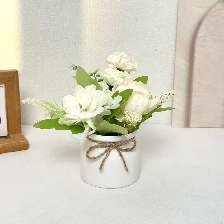 Decorative Ceramic Pot for Home Plant Display