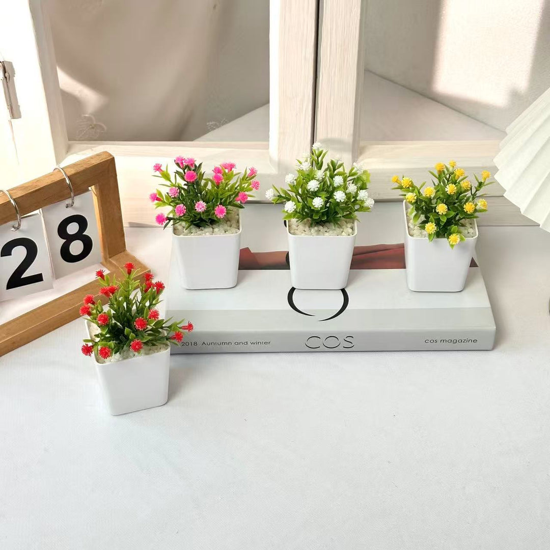 Decorative Mini Potted Plant Arrangement