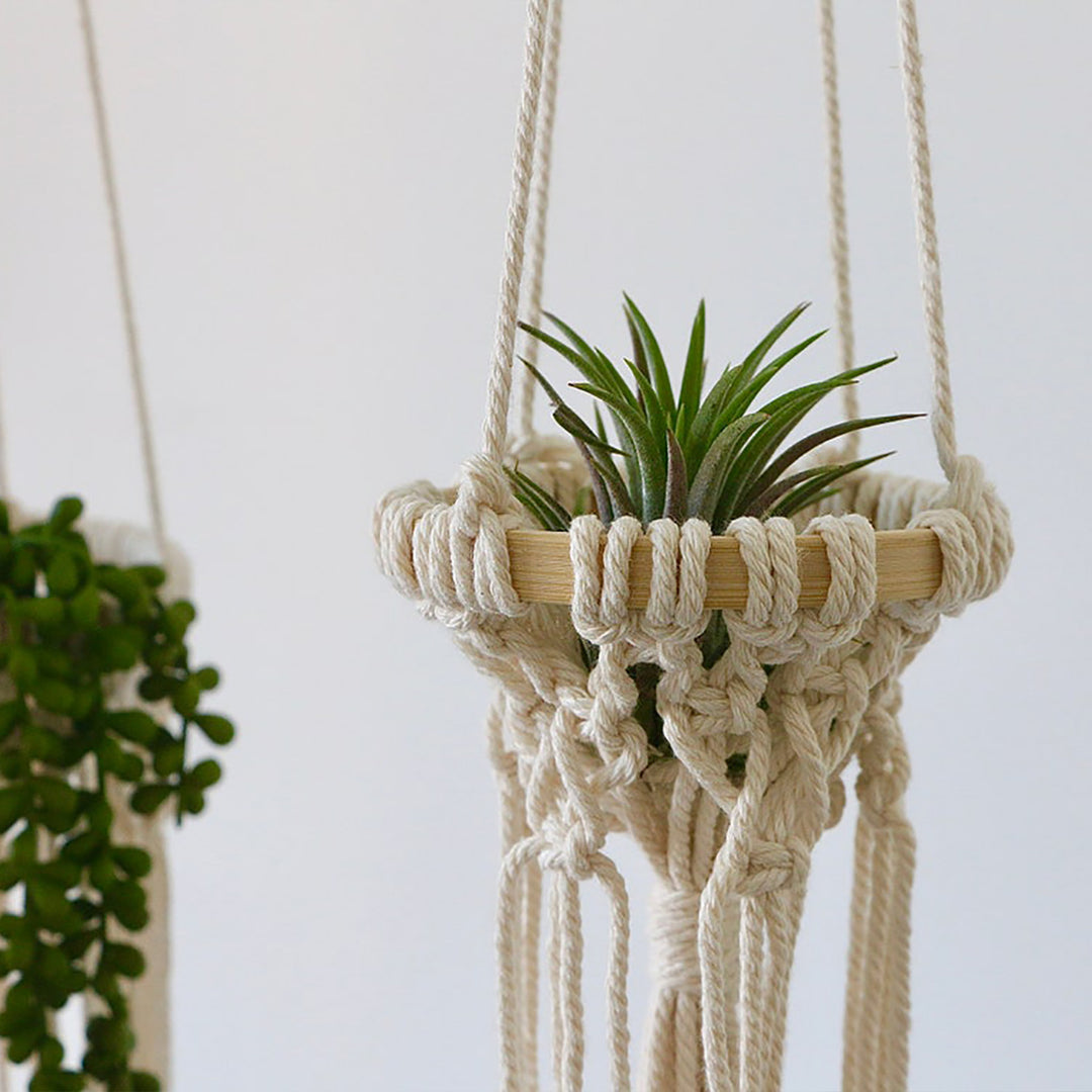 Hanging Macrame Planter Kalsten