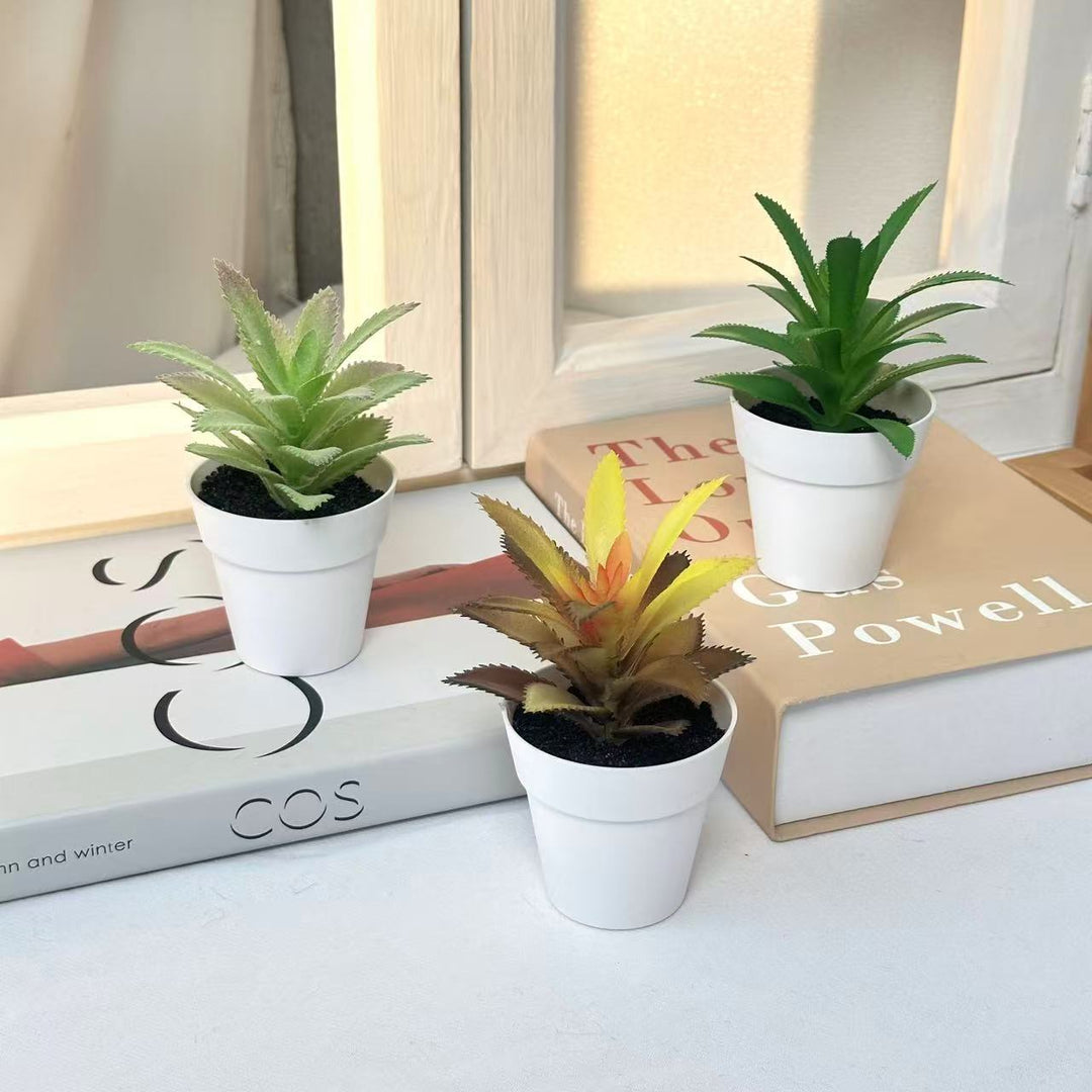 Lifelike Succulent Plant Decor
