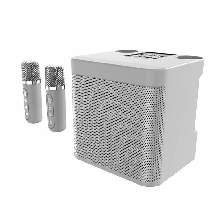 Wireless Karaoke Speaker System with Dual Microphones Kalsten