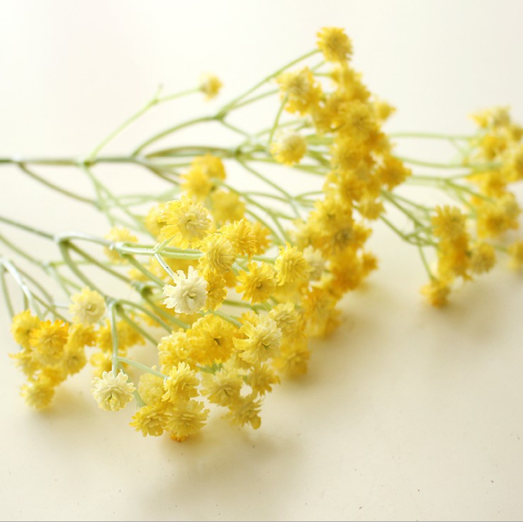 Elegant Floral Decor
