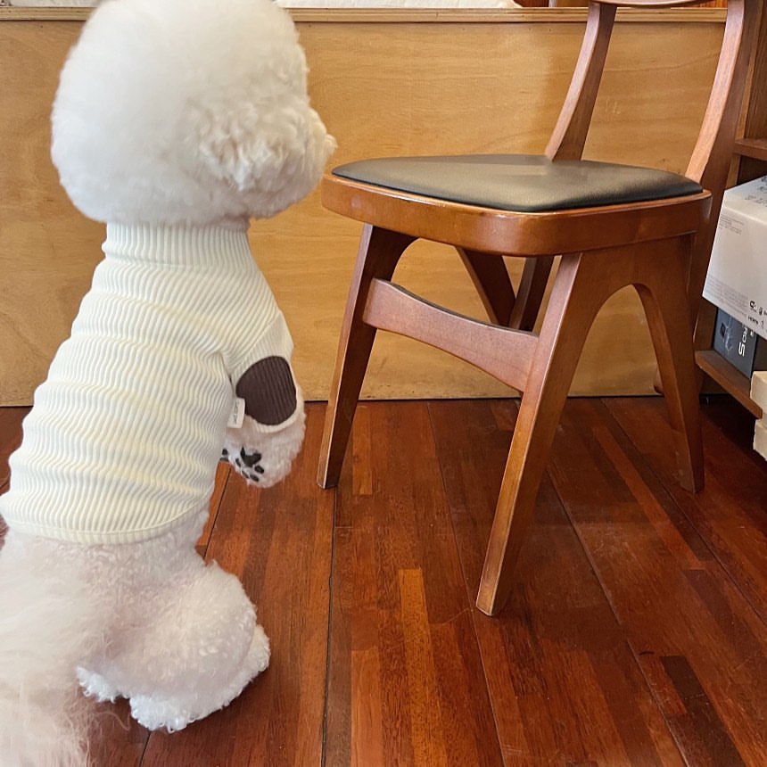 Ribbed Mock-Neck Pet Sweater with Contrast Patch & Sherpa Cuff