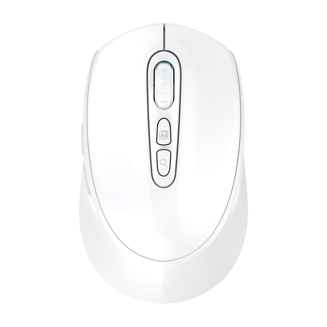 Wireless Ergonomic Mouse Kalsten