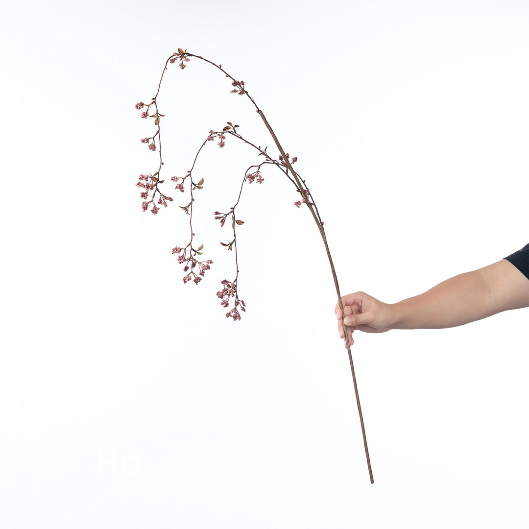 Delicate Cherry Blossom Stem