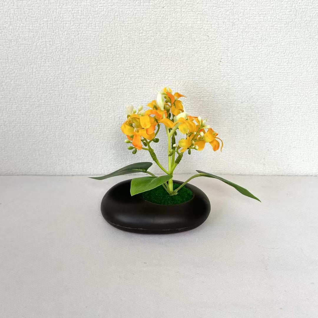 Elegant Decorative Potted Orchid for Indoor Home Decor