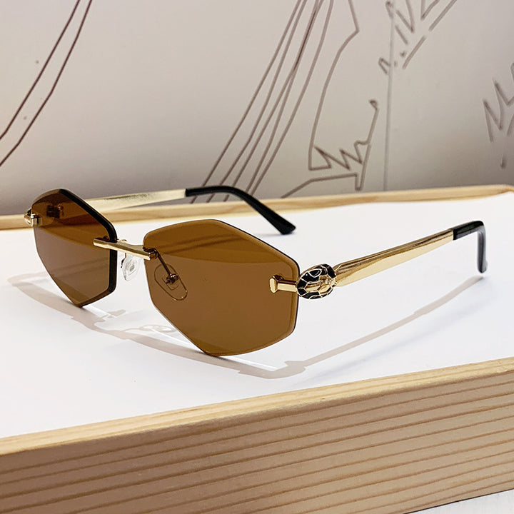 Women's Designer Sunglasses with Hexagonal Frame and Gold Accents Kalsten