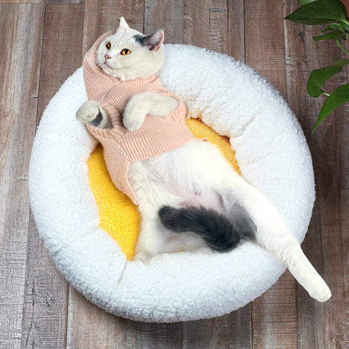 Cozy Round Egg-Shaped Dog Bed