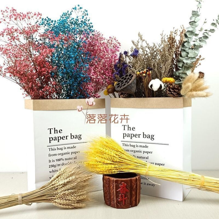 Natural Cotton Flower Stem