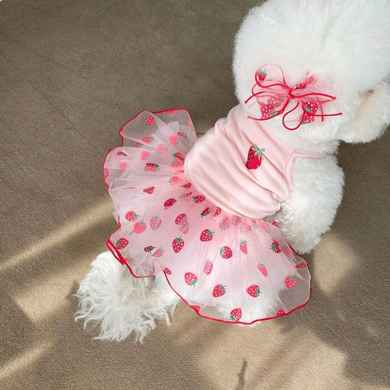 Strawberry Tulle Tutu Dress with Embroidered Berry and Organza