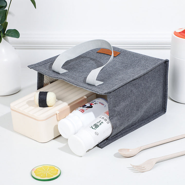 Insulated Stylish Lunch Carrier Kalsten