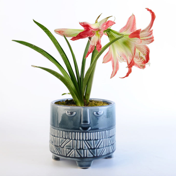 Decorative plant pot with facial features Kalsten