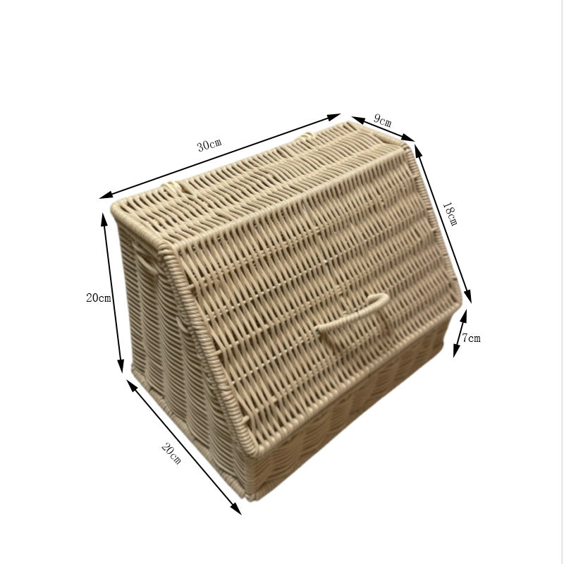 Decorative Woven Storage Chest Kalsten