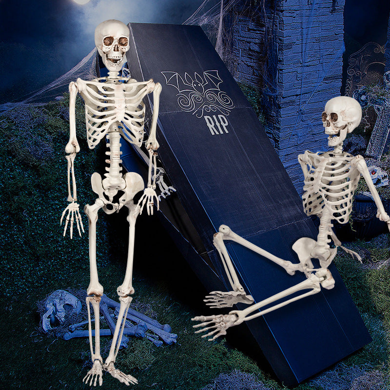 Realistic Life-Size Human Skeleton Decoration Kalsten