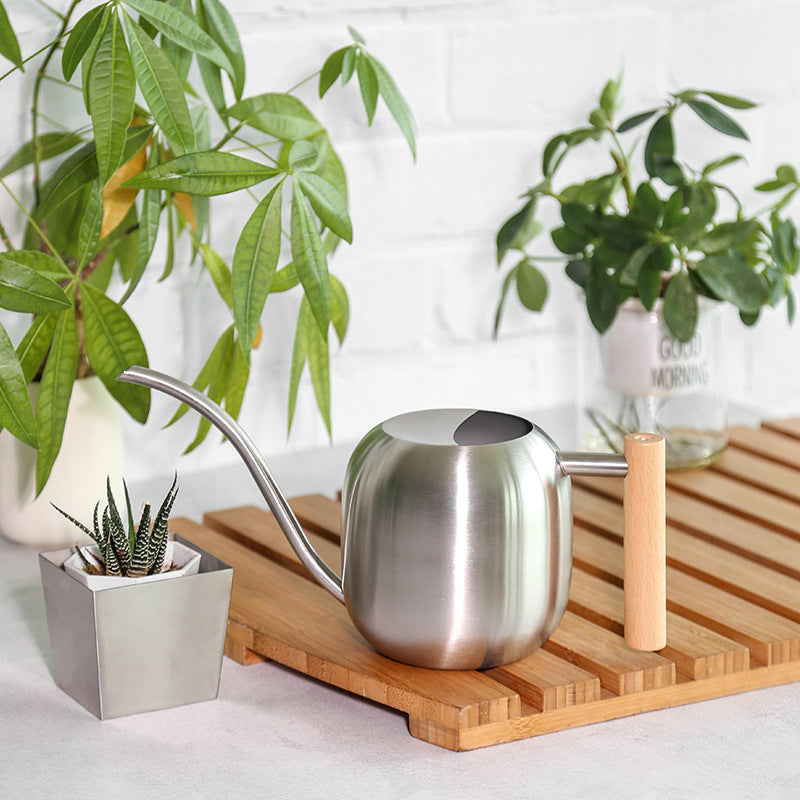 Stylish Ergonomic Watering Can