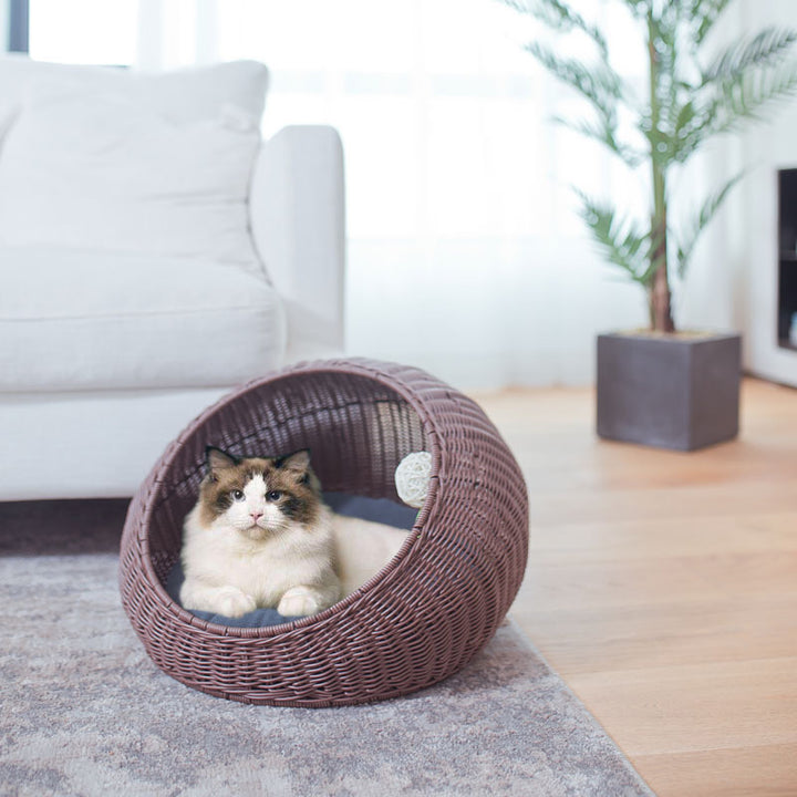 Designer Cat Bed Kalsten