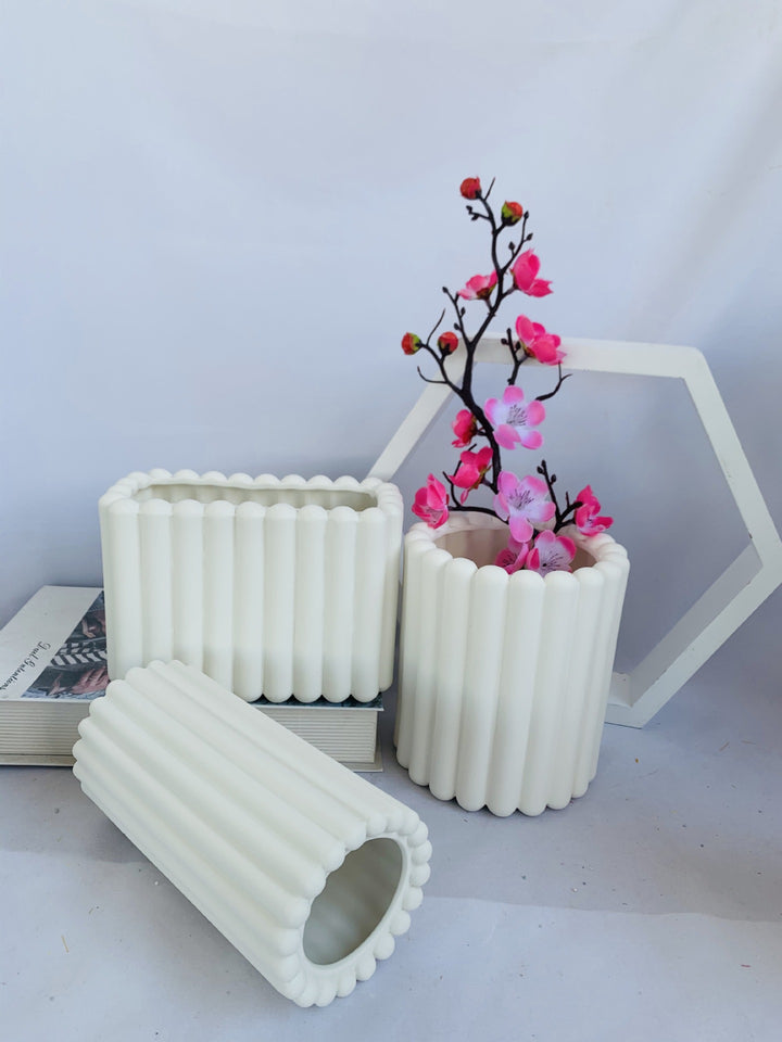 Decorative Plant Kalsten