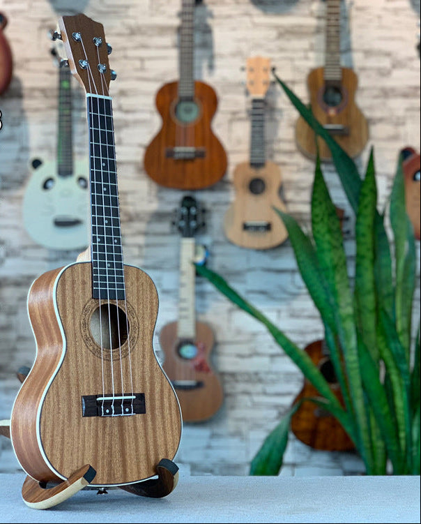 Premium Acoustic Ukulele Kalsten