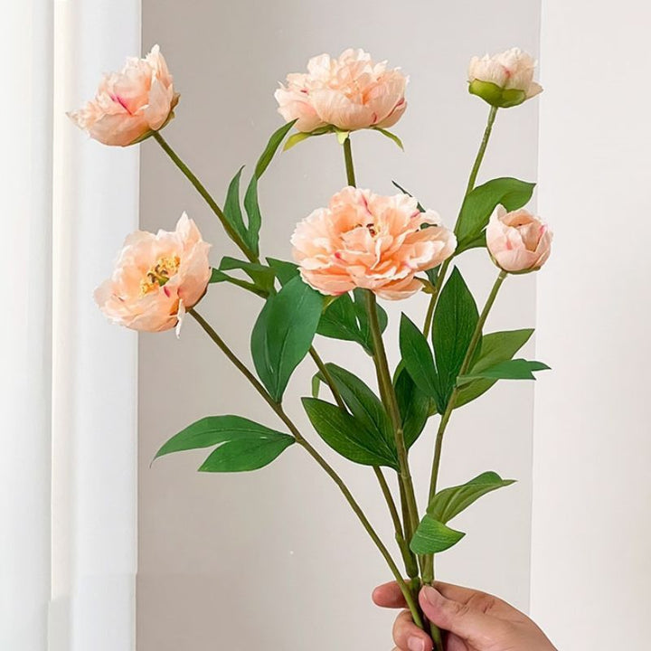 Realistic Peony Floral Stem