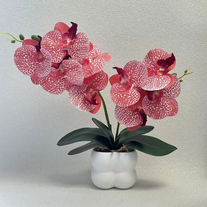 Artificial Orchid Arrangement for Home Decor and Indoor Display
