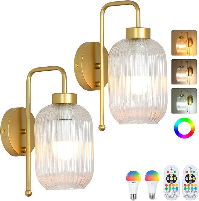 Elegant Glass Wall Sconce with Adjustable Lighting