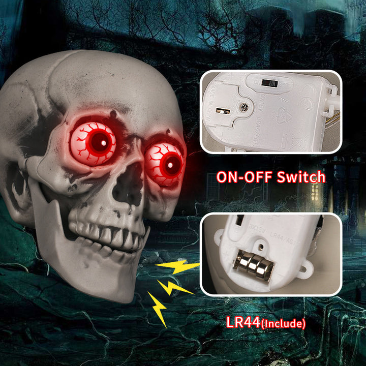 Decorative Kalsten Skull