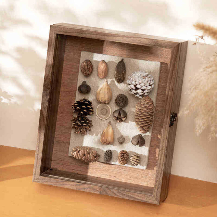 Decorative Shadow Box Frame with Natural Elements