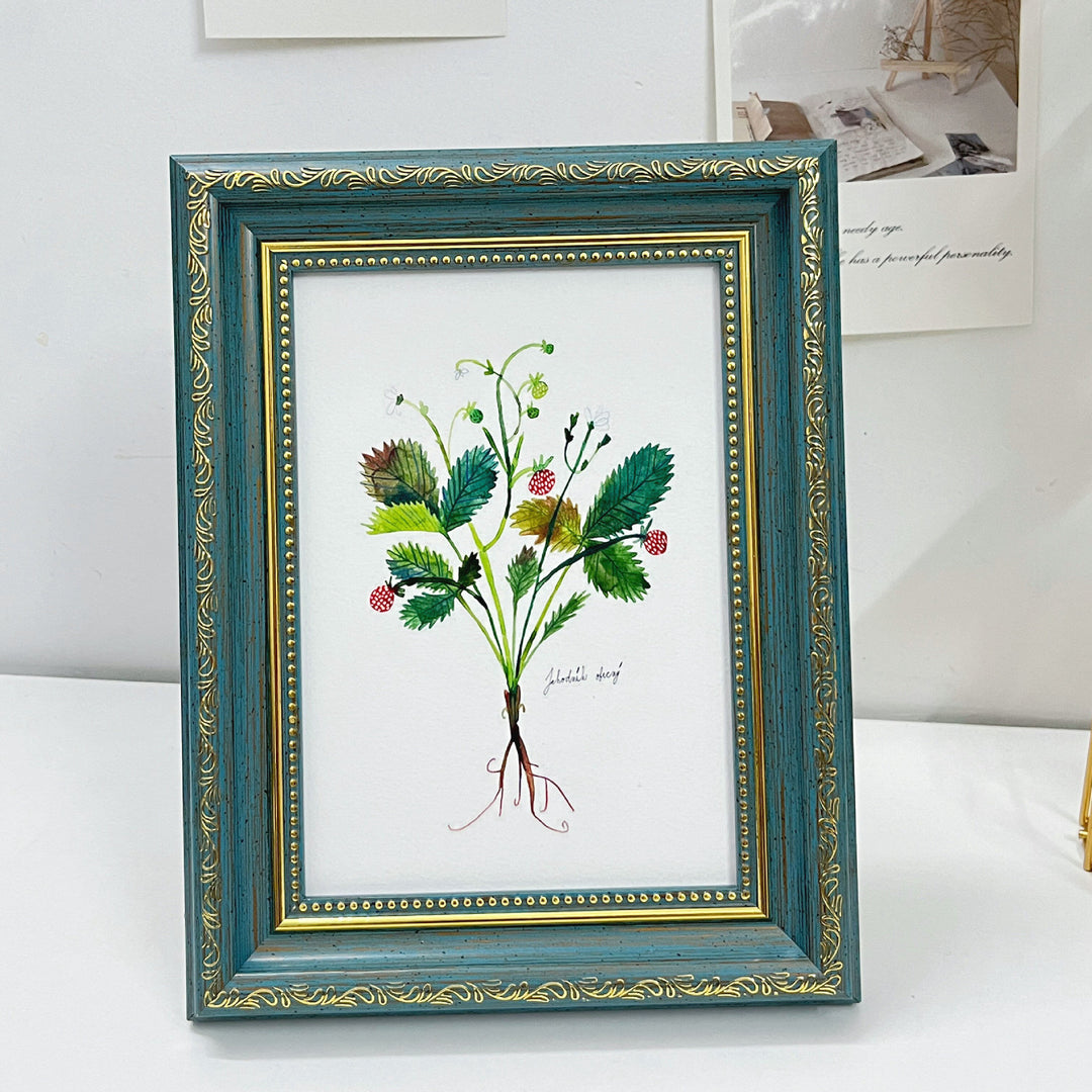 Decorative Botanical Illustration Frame