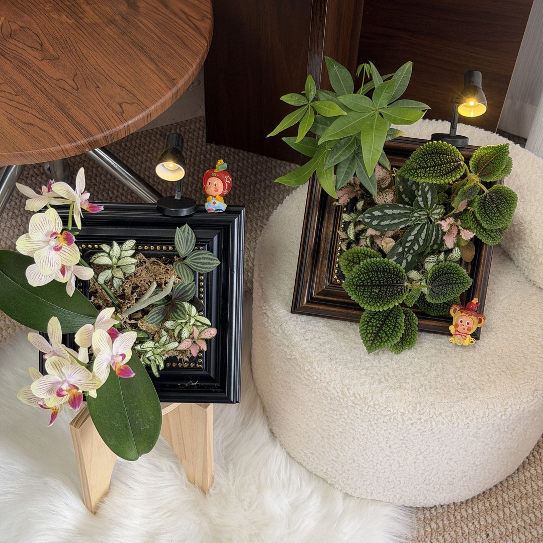 Decorative Plant