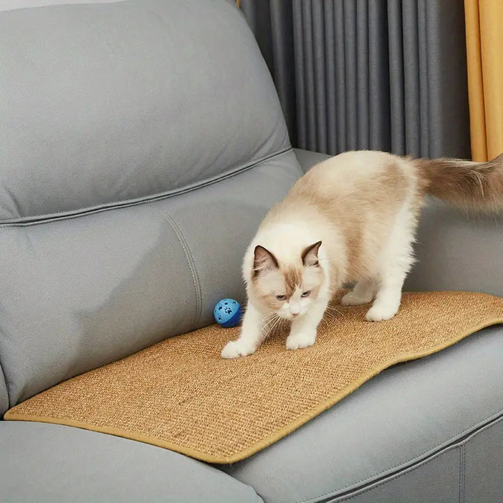 Kalsten | Premium Cat Scratching Board for Daily Use