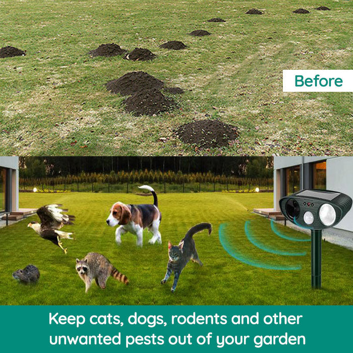 Kalsten | Raccoon Outdoor Ultrasonic Repeller - Solar-powered Ultrasonic Animal and Pest Control - Get rid of raccoons within 48 hours
