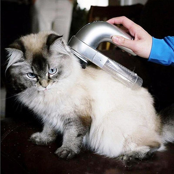 Kalsten | Portable Electric Pet Dog Cat Hair Pet Vacuum Cleaning Machine