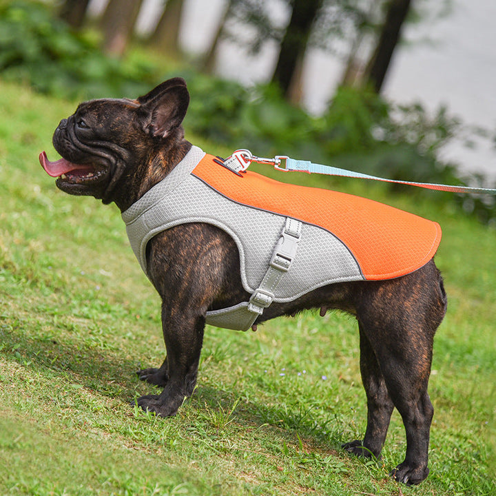 French Bulldog Summer Cooling Vest Heat Resistant Breathable Sun-proof | Kalsten