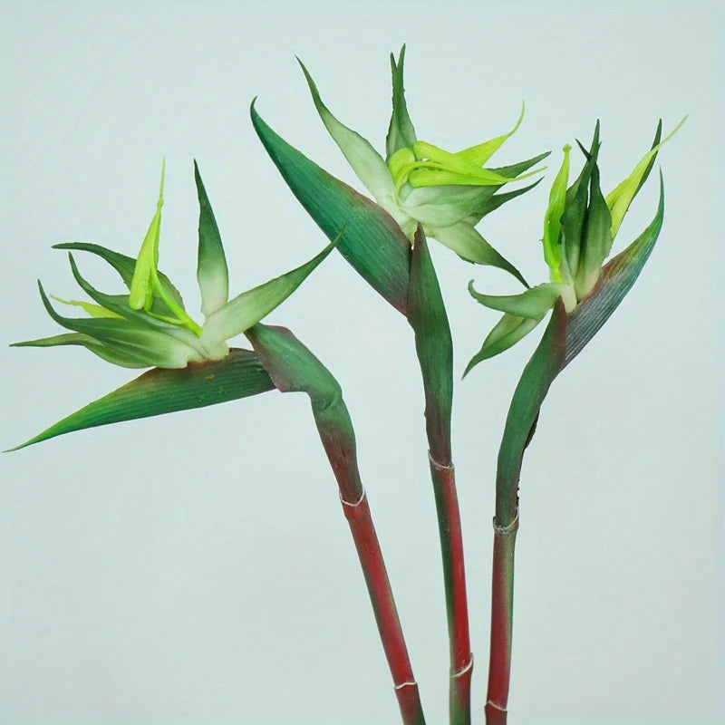 Kalsten | Floriva 3 Piece Set Artificial Strelitzias | Bird of Paradise Flowers | 24.5 cm Long Stems | Decoration for Home, Office & Events