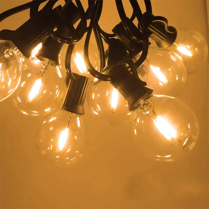 G40 Globe LED Bulbs – 5V, 110V/220V, Indoor/Outdoor
