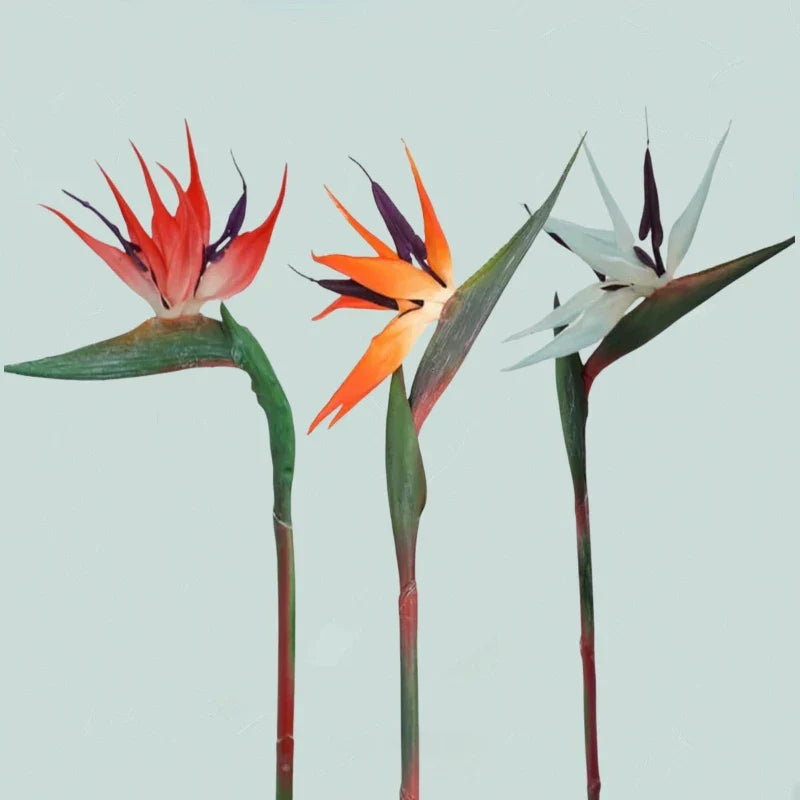 Kalsten | Floriva 3 Piece Set Artificial Strelitzias | Bird of Paradise Flowers | 24.5 cm Long Stems | Decoration for Home, Office & Events