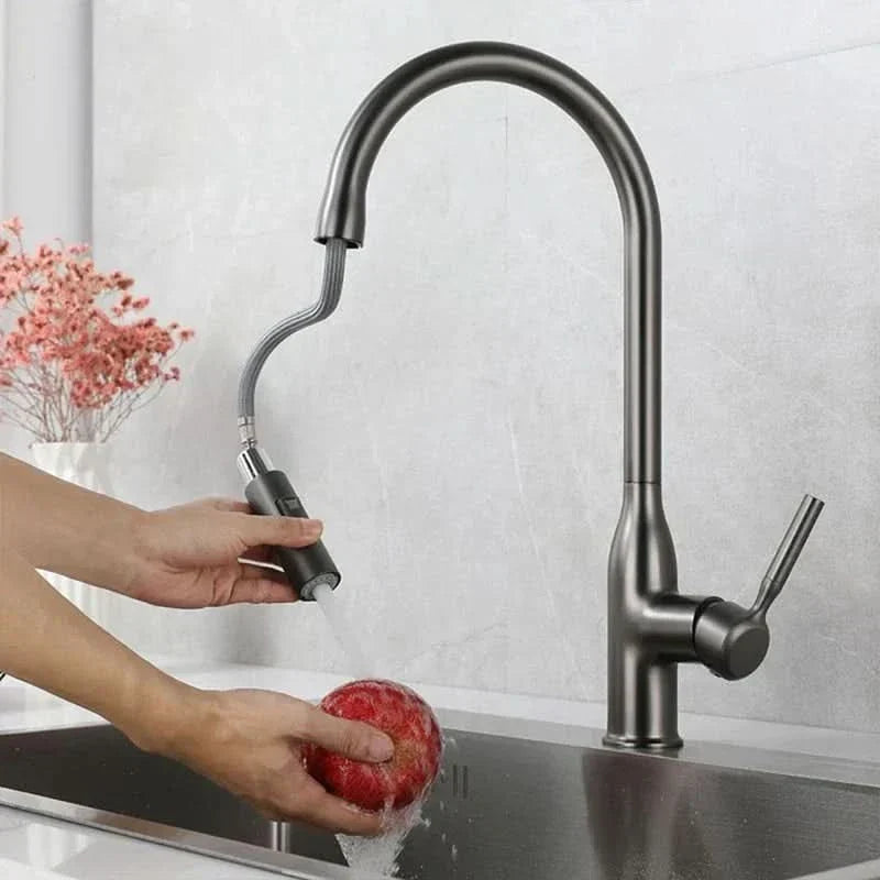 Kalsten | Stainless Steel Kitchen Faucet with Pull-Out Sprayer