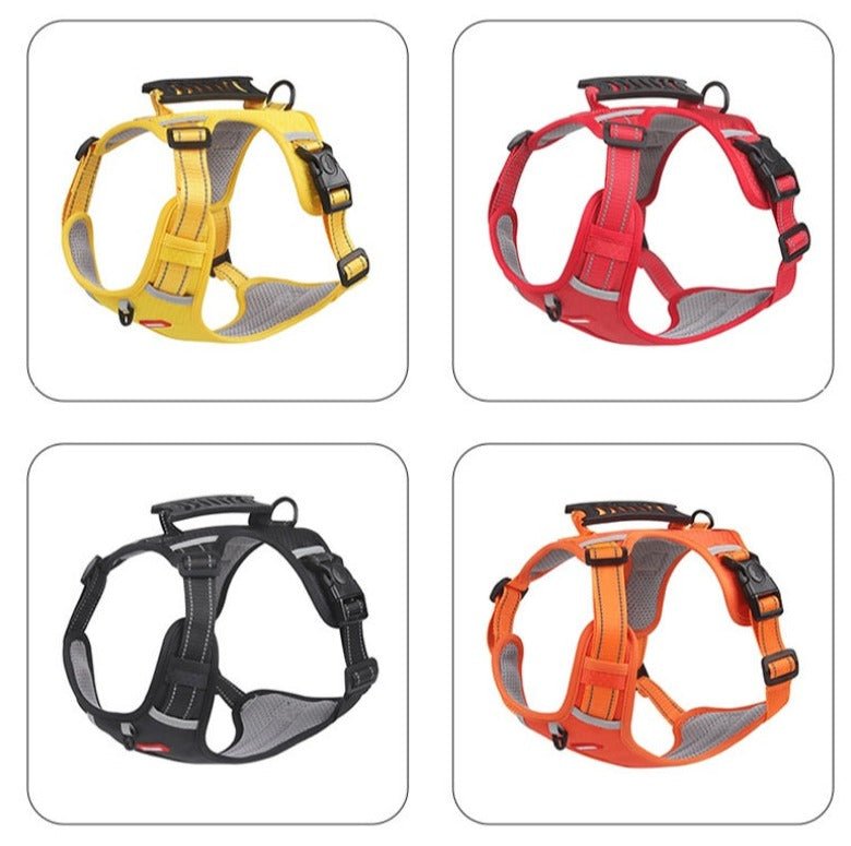 DogGrip Walk safely with your dog | Kalsten